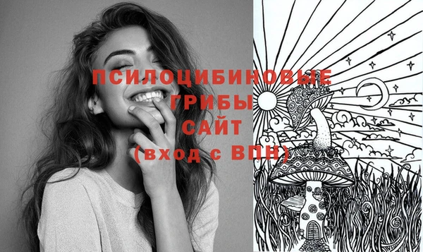 гидра Вяземский