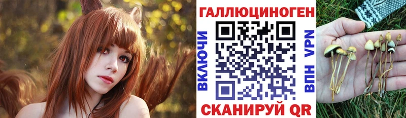 Псилоцибиновые грибы GOLDEN TEACHER  Новоуральск 