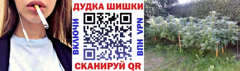 Шишки марихуана Ganja  где продают   Новоуральск 